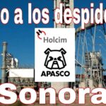 Cartel sindical que plantea el problema de los trabajadores/as despedidos en la fábrica de LafargeHolcim Apasco