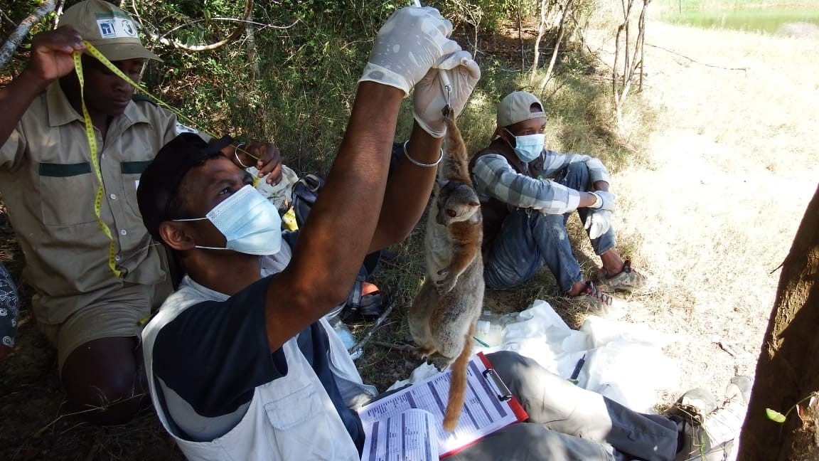A worker from Madagascar who is part of global efforts to save endangered  species | IndustriALL