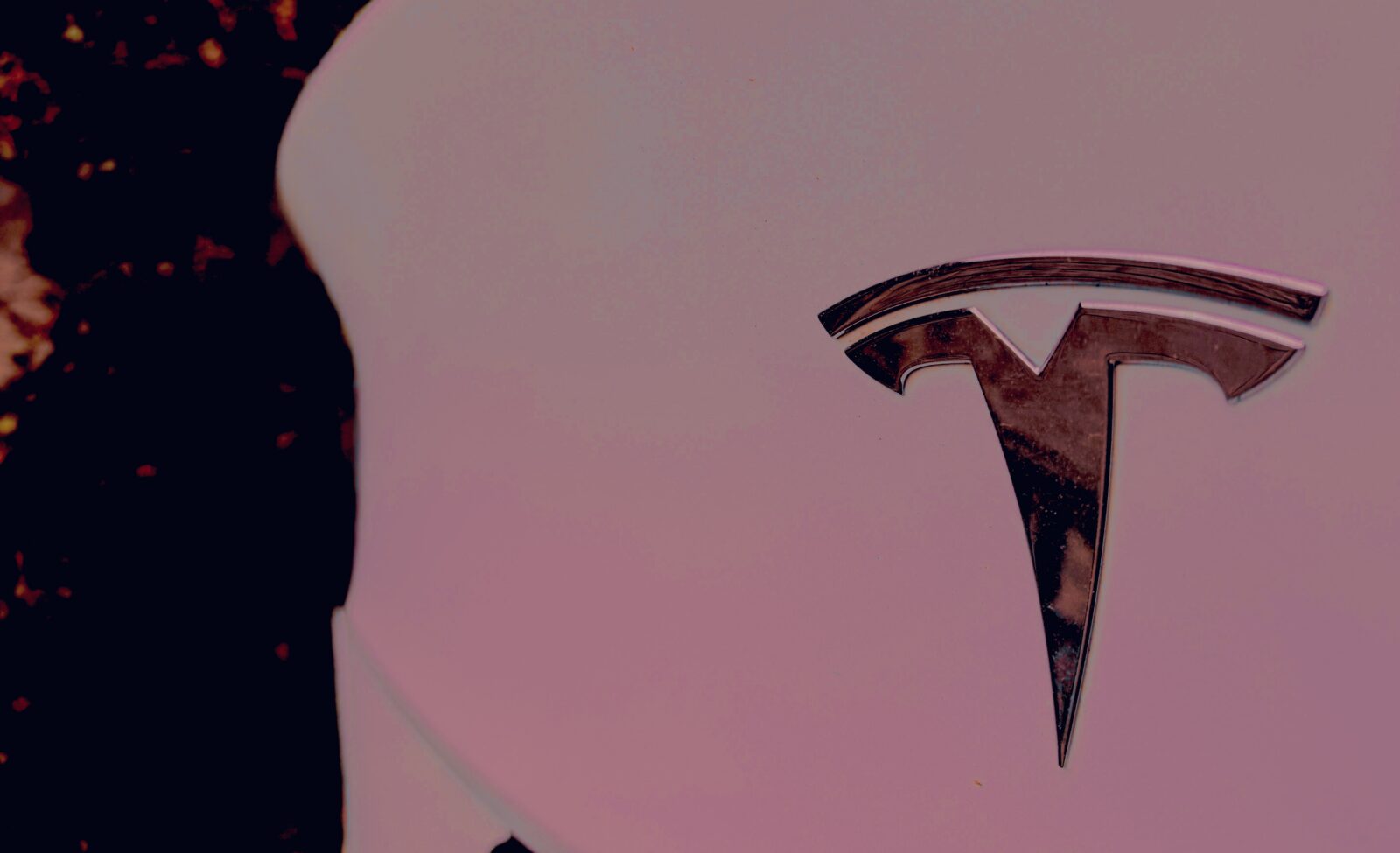 Close-up of the Tesla logo on a vehicle