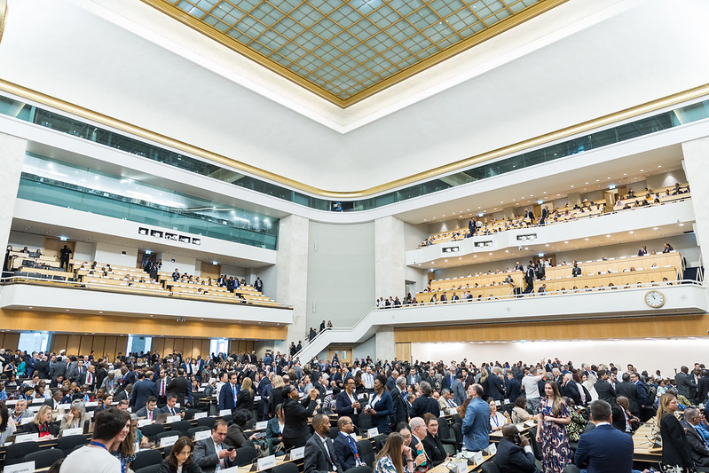 Delegates fill the plenary hall at the 114th session of the International Labour Conference in Geneva