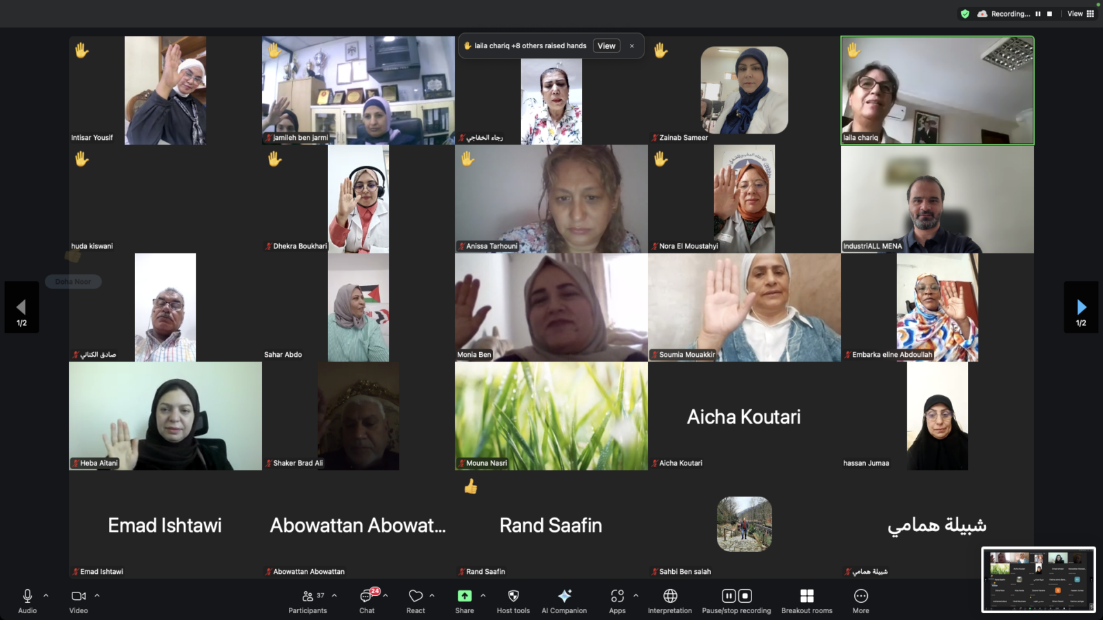 Screenshot of a Zoom video call showing approximately 20 participants from across the Middle East and North Africa region, displaying the diverse participation in the committee establishment process.
