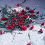 Заместитель ГС Озкан: “Мы никогда не откажемся от своих требований демократии, мира и соблюдения прав человека”. Фото: DISK