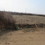 Paysage aride entourant le projet Bunder. La rareté de l’eau est une problématique clé pour les villageois.