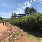 Дети играют около шахты старателей в Касулу