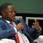 John Peter Amewu, Minister of Lands and natural resources, Ghana