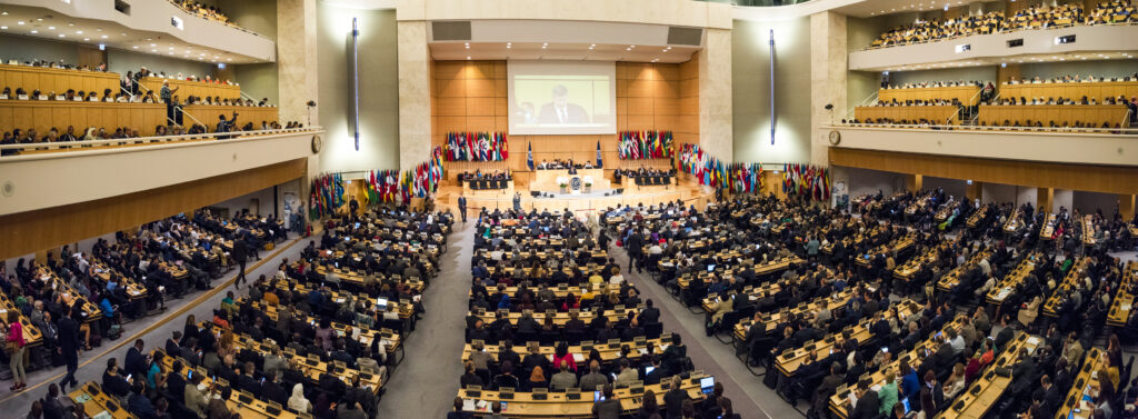 107th Session of the International Labour Conference, 28 May-8 June 2018 (photo credit: ILO)