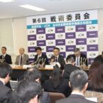 Пресс-конференция по итогам заседания Стратегического комитета