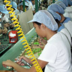 Assembly lines for mobile phones in China. SOMO